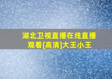 湖北卫视直播在线直播观看[高清]大王小王